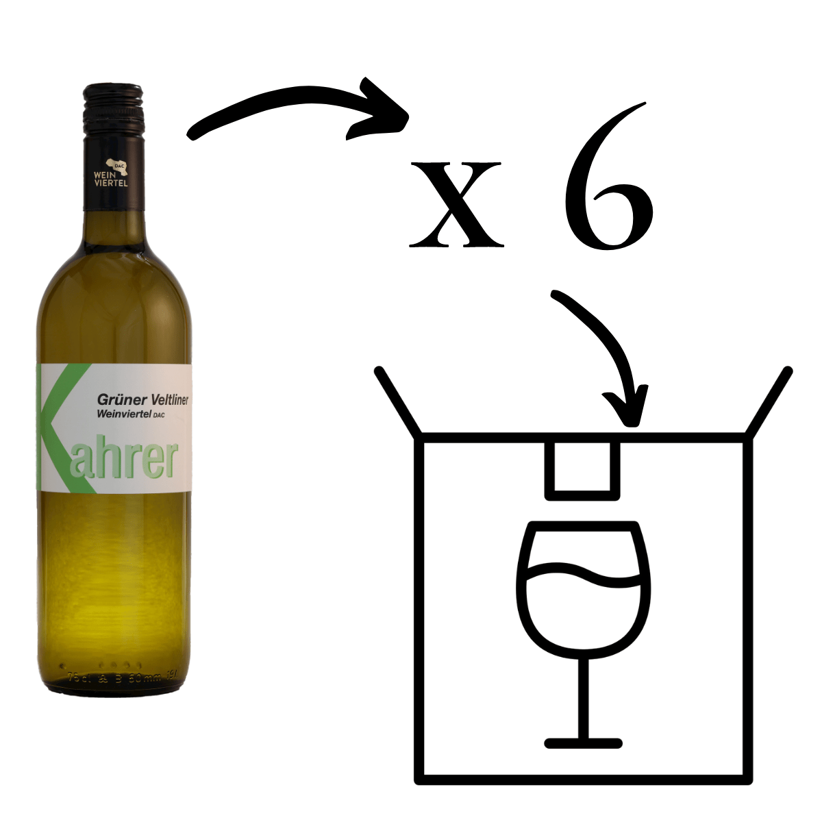 Grüner Veltliner DAC Weißwein 6 Flaschen 6er Karton
