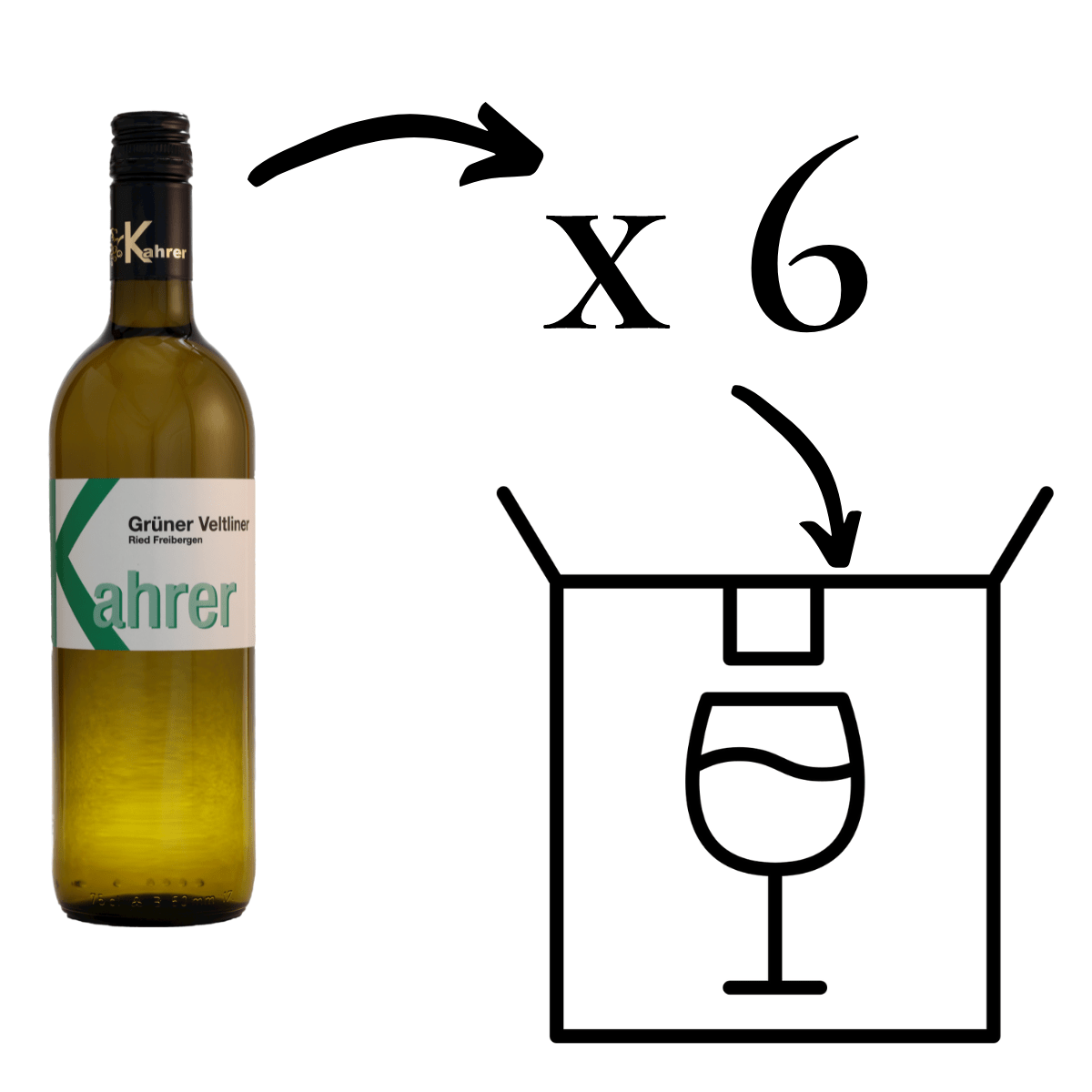 Grüner Veltliner Ried Freibergen Weißwein 6 Flaschen 6er Karton