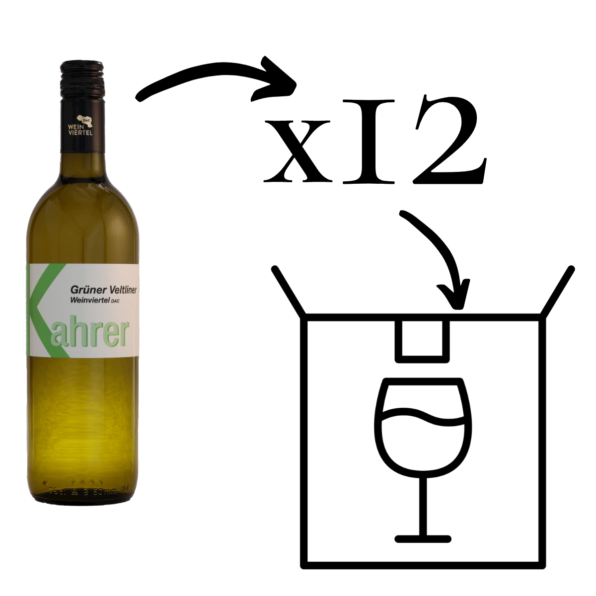 Grüner Veltliner DAC Weißwein 12 Flaschen 12er Karton